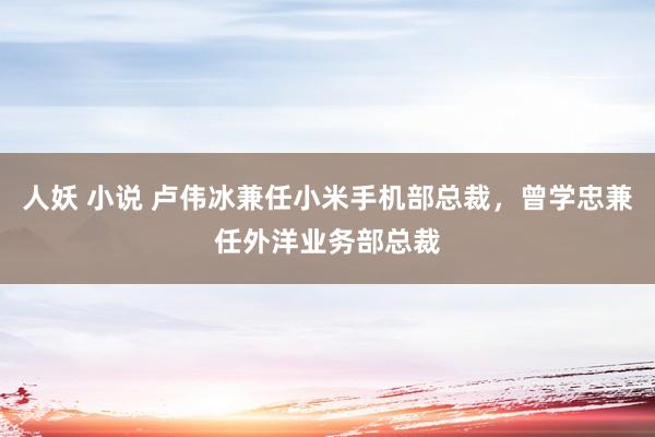 人妖 小说 卢伟冰兼任小米手机部总裁，曾学忠兼任外洋业务部总裁