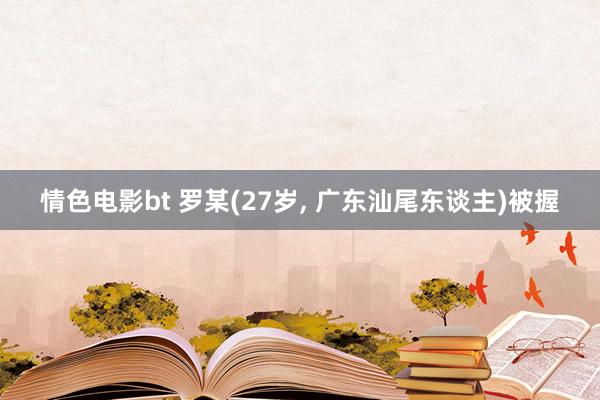 情色电影bt 罗某(27岁， 广东汕尾东谈主)被握