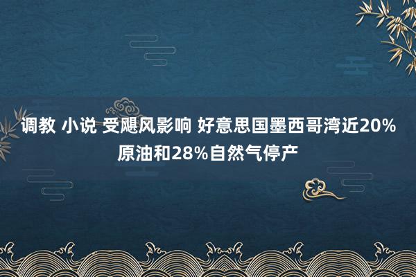 调教 小说 受飓风影响 好意思国墨西哥湾近20%原油和28%自然气停产