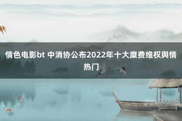 情色电影bt 中消协公布2022年十大糜费维权舆情热门