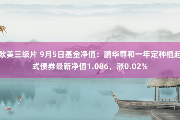 欧美三级片 9月5日基金净值：鹏华尊和一年定种植起式债券最新净值1.086，涨0.02%