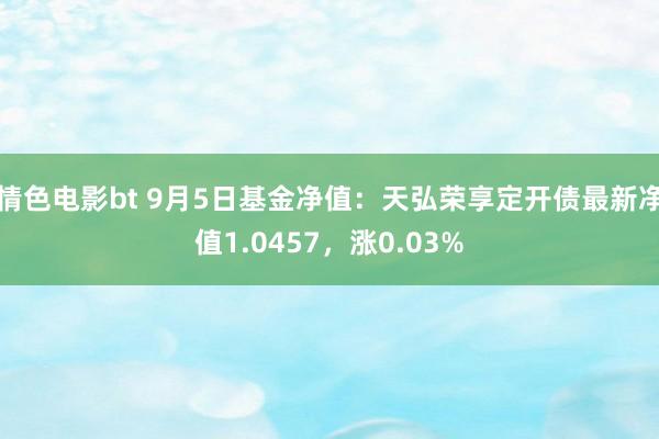 情色电影bt 9月5日基金净值：天弘荣享定开债最新净值1.0457，涨0.03%