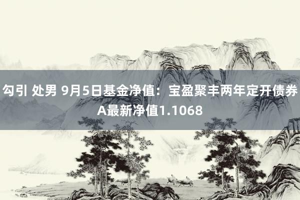 勾引 处男 9月5日基金净值：宝盈聚丰两年定开债券A最新净值1.1068