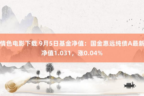 情色电影下载 9月5日基金净值：国金惠远纯债A最新净值1.031，涨0.04%