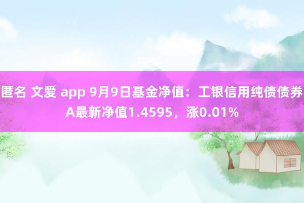 匿名 文爱 app 9月9日基金净值：工银信用纯债债券A最新净值1.4595，涨0.01%