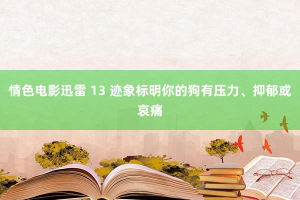 情色电影迅雷 13 迹象标明你的狗有压力、抑郁或哀痛