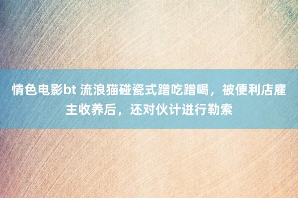 情色电影bt 流浪猫碰瓷式蹭吃蹭喝，被便利店雇主收养后，还对伙计进行勒索