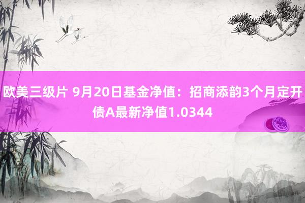 欧美三级片 9月20日基金净值：招商添韵3个月定开债A最新净值1.0344