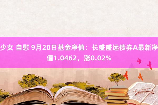 少女 自慰 9月20日基金净值：长盛盛远债券A最新净值1.0462，涨0.02%