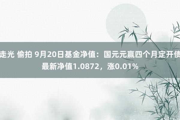 走光 偷拍 9月20日基金净值：国元元赢四个月定开债最新净值1.0872，涨0.01%