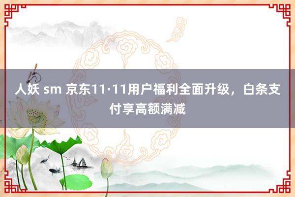 人妖 sm 京东11·11用户福利全面升级，白条支付享高额满减