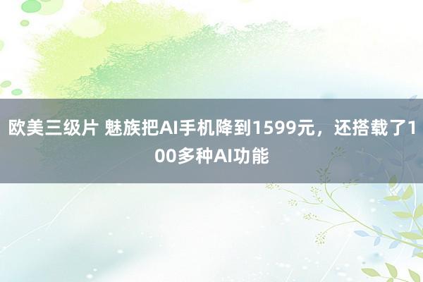 欧美三级片 魅族把AI手机降到1599元，还搭载了100多种AI功能