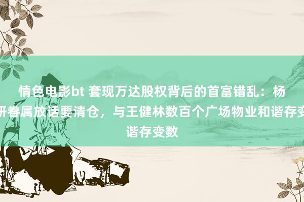 情色电影bt 套现万达股权背后的首富错乱：杨惠妍眷属放话要清仓，与王健林数百个广场物业和谐存变数