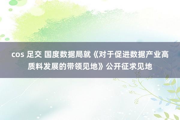 cos 足交 国度数据局就《对于促进数据产业高质料发展的带领见地》公开征求见地