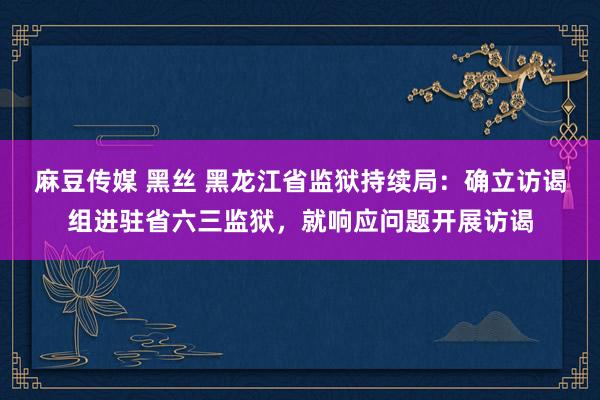 麻豆传媒 黑丝 黑龙江省监狱持续局：确立访谒组进驻省六三监狱，就响应问题开展访谒