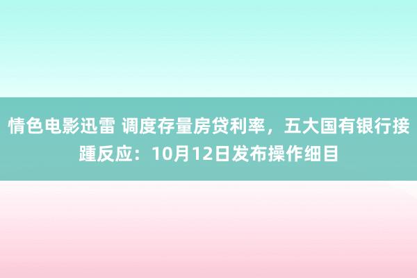 情色电影迅雷 调度存量房贷利率，五大国有银行接踵反应：10月12日发布操作细目