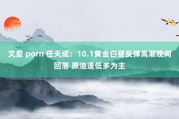 文爱 porn 任天成：10.1黄金白昼反弹高潮晚间回落 原油逢低多为主