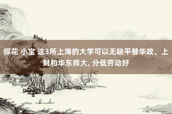 探花 小宝 这3所上海的大学可以无缺平替华政、上财和华东师大， 分低劳动好