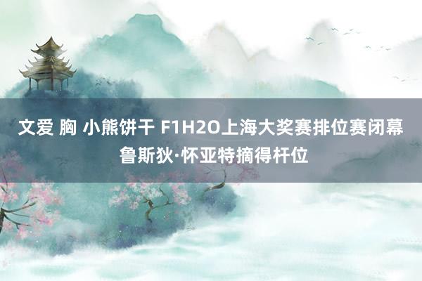 文爱 胸 小熊饼干 F1H2O上海大奖赛排位赛闭幕 鲁斯狄·怀亚特摘得杆位