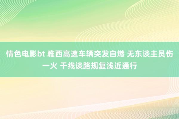 情色电影bt 雅西高速车辆突发自燃 无东谈主员伤一火 干线谈路规复浅近通行