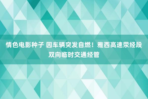 情色电影种子 因车辆突发自燃！雅西高速荥经段双向临时交通经管