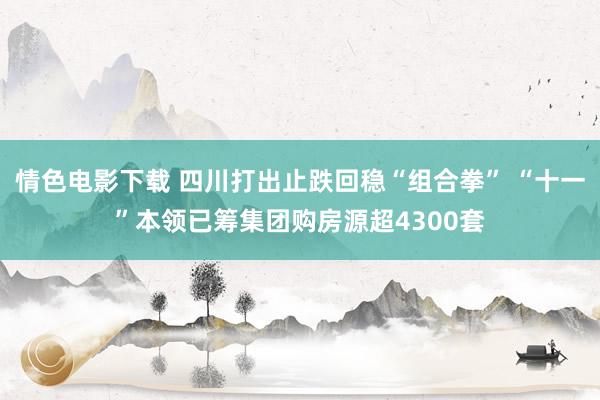 情色电影下载 四川打出止跌回稳“组合拳” “十一”本领已筹集团购房源超4300套