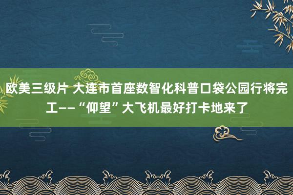 欧美三级片 大连市首座数智化科普口袋公园行将完工——“仰望”大飞机最好打卡地来了