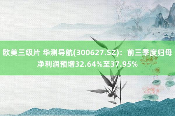 欧美三级片 华测导航(300627.SZ)：前三季度归母净利润预增32.64%至37.95%