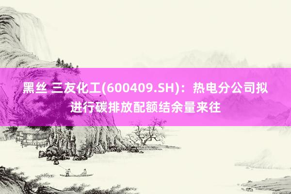 黑丝 三友化工(600409.SH)：热电分公司拟进行碳排放配额结余量来往