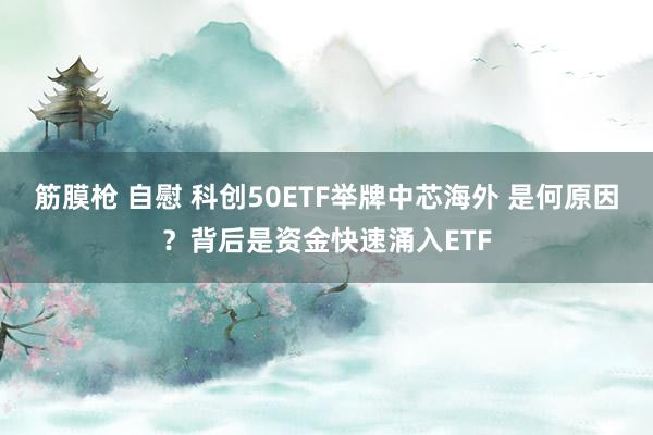 筋膜枪 自慰 科创50ETF举牌中芯海外 是何原因？背后是资金快速涌入ETF