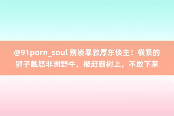 @91porn_soul 别凌暴敦厚东谈主！横暴的狮子触怒非洲野牛，被赶到树上，不敢下来