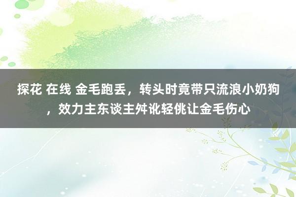 探花 在线 金毛跑丢，转头时竟带只流浪小奶狗，效力主东谈主舛讹轻佻让金毛伤心