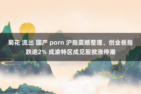 菊花 流出 国产 porn 沪指震撼整理、创业板指跌逾2% 成渝特区成见股掀涨停潮