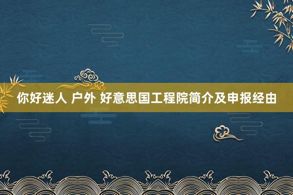 你好迷人 户外 好意思国工程院简介及申报经由