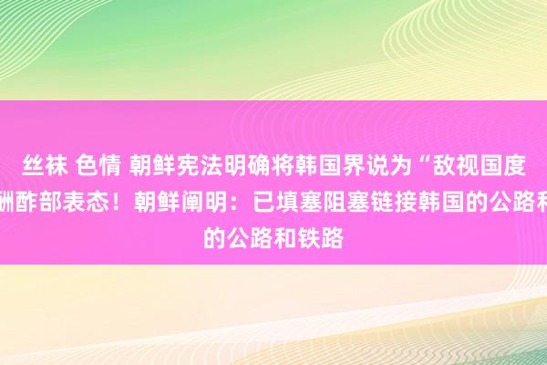 丝袜 色情 朝鲜宪法明确将韩国界说为“敌视国度” ，酬酢部表态！朝鲜阐明：已填塞阻塞链接韩国的公路和铁路