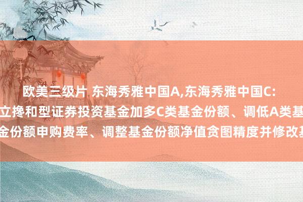 欧美三级片 东海秀雅中国A，东海秀雅中国C: 对于东海秀雅中国活泼竖立搀和型证券投资基金加多C类基金份额、调低A类基金份额申购费率、调整基金份额净值贪图精度并修改基金合同等法律文献的公告