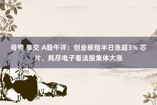 母狗 拳交 A股午评：创业板指半日涨超3% 芯片、耗尽电子看法股集体大涨