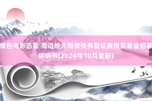 情色电影迅雷 南边皓元短债债券型证券投资基金招募讲明书(2024年10月更新)