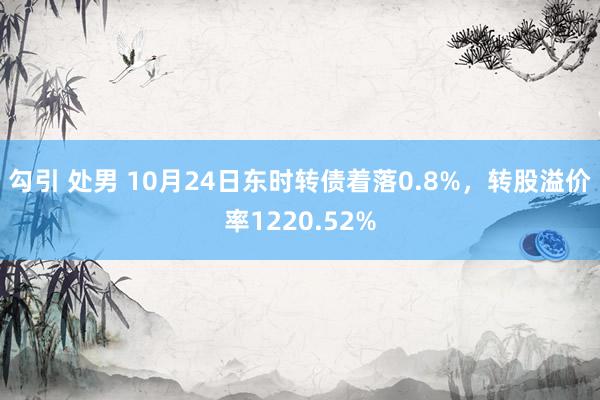 勾引 处男 10月24日东时转债着落0.8%，转股溢价率1220.52%