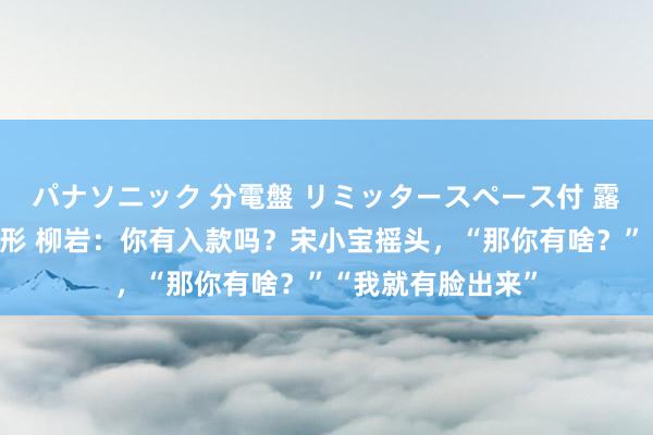 パナソニック 分電盤 リミッタースペース付 露出・半埋込両用形 柳岩：你有入款吗？宋小宝摇头，“那你有啥？”“我就有脸出来”