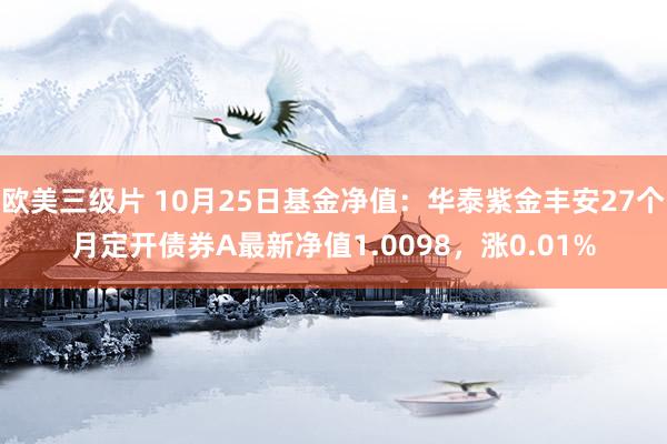 欧美三级片 10月25日基金净值：华泰紫金丰安27个月定开债券A最新净值1.0098，涨0.01%