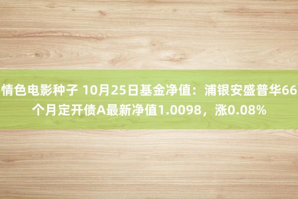 情色电影种子 10月25日基金净值：浦银安盛普华66个月定开债A最新净值1.0098，涨0.08%