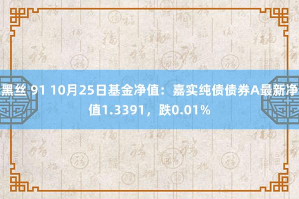 黑丝 91 10月25日基金净值：嘉实纯债债券A最新净值1.3391，跌0.01%