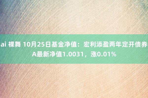 ai 裸舞 10月25日基金净值：宏利添盈两年定开债券A最新净值1.0031，涨0.01%