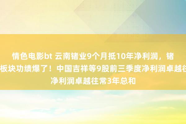 情色电影bt 云南锗业9个月抵10年净利润，锗价疯涨稀缺板块功绩爆了！中国吉祥等9股前三季度净利润卓越往常3年总和