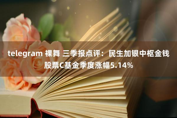 telegram 裸舞 三季报点评：民生加银中枢金钱股票C基金季度涨幅5.14%