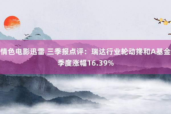 情色电影迅雷 三季报点评：瑞达行业轮动搀和A基金季度涨幅16.39%