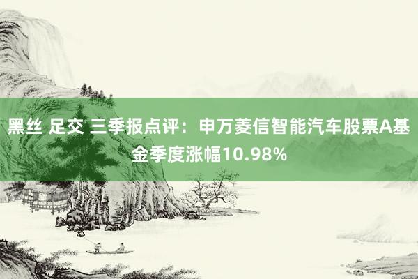 黑丝 足交 三季报点评：申万菱信智能汽车股票A基金季度涨幅10.98%