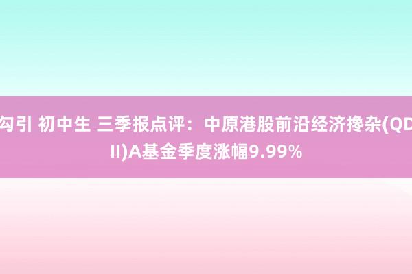 勾引 初中生 三季报点评：中原港股前沿经济搀杂(QDII)A基金季度涨幅9.99%