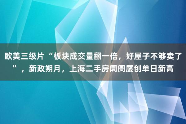 欧美三级片 “板块成交量翻一倍，好屋子不够卖了” ，新政朔月，上海二手房阛阓屡创单日新高